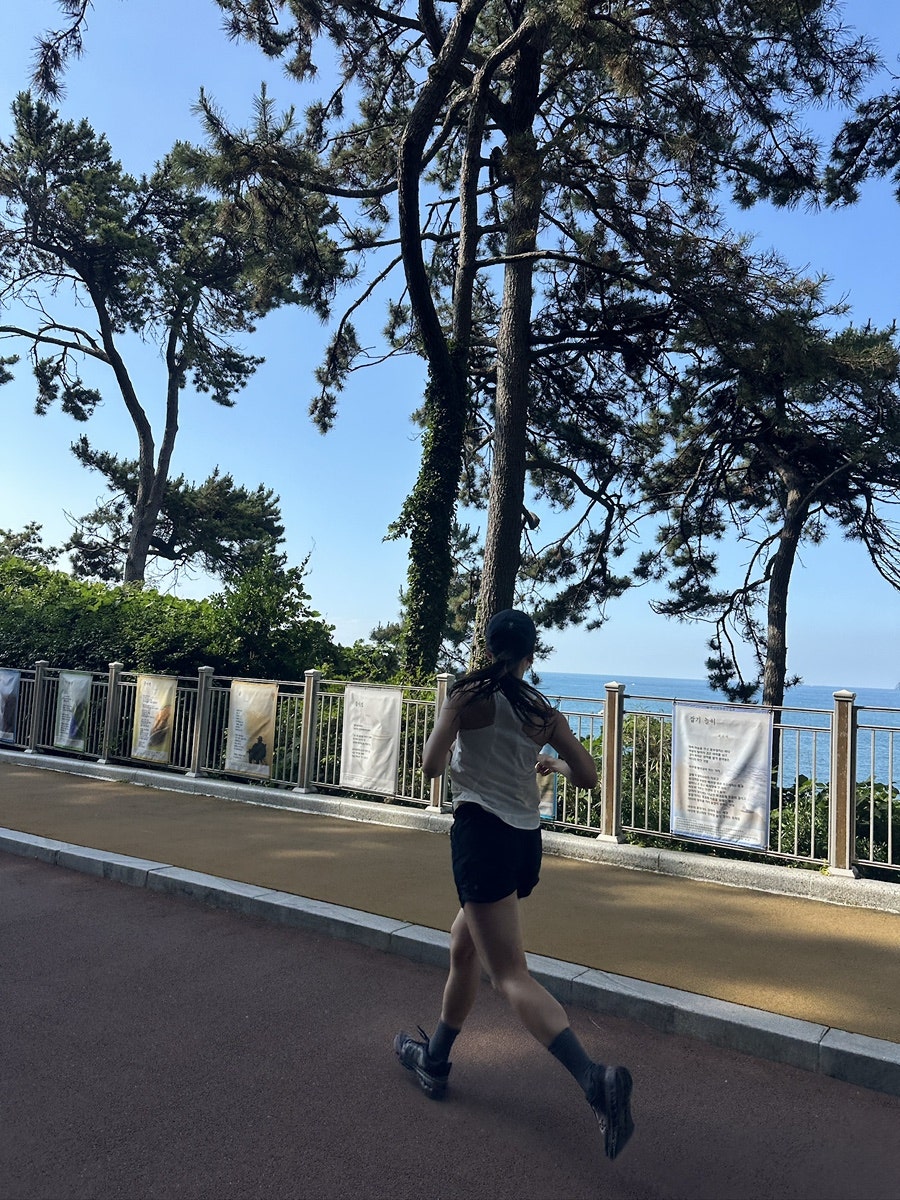 밀양돼지국밥 사진 4