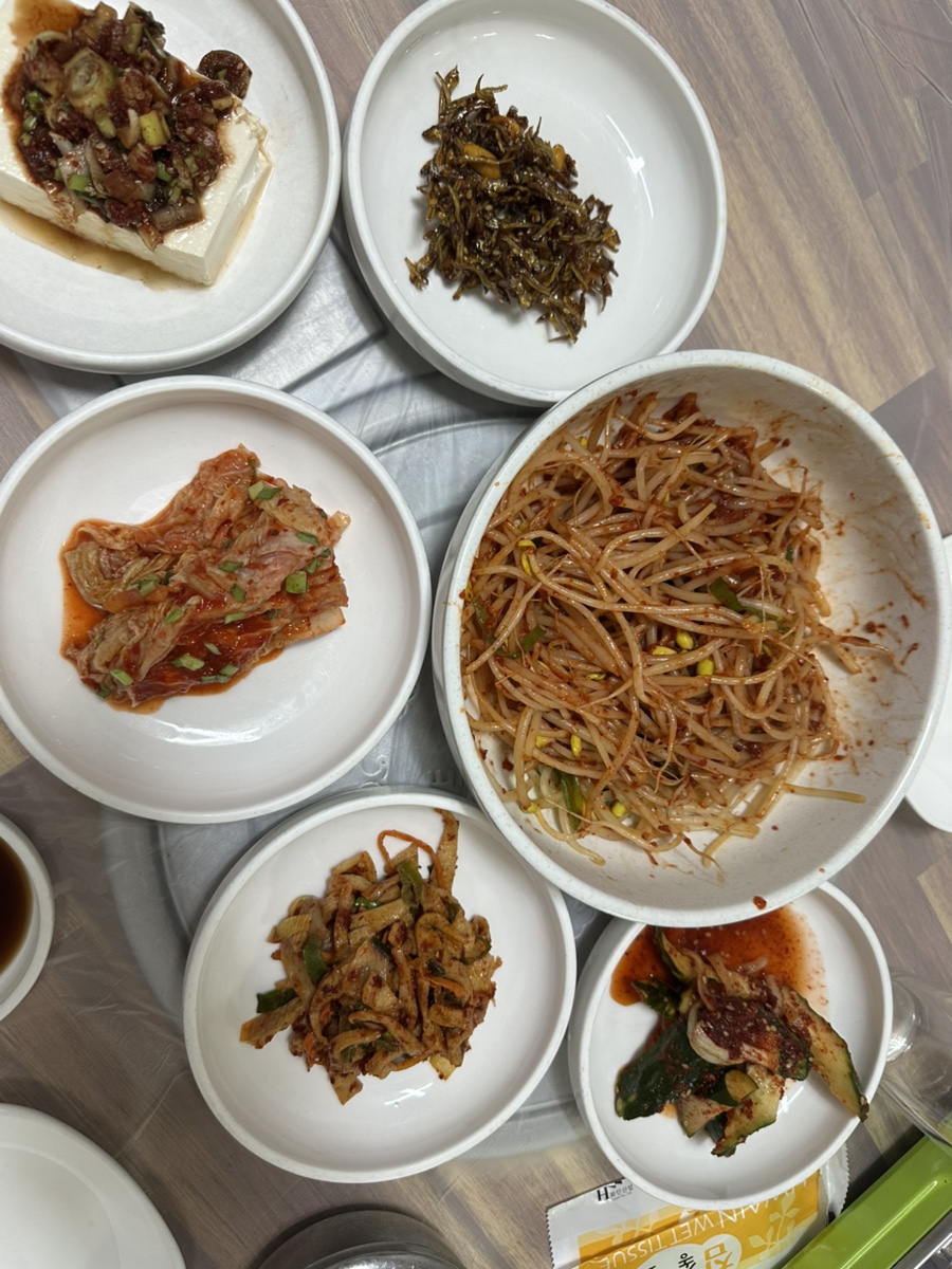 달서복어 사진 6