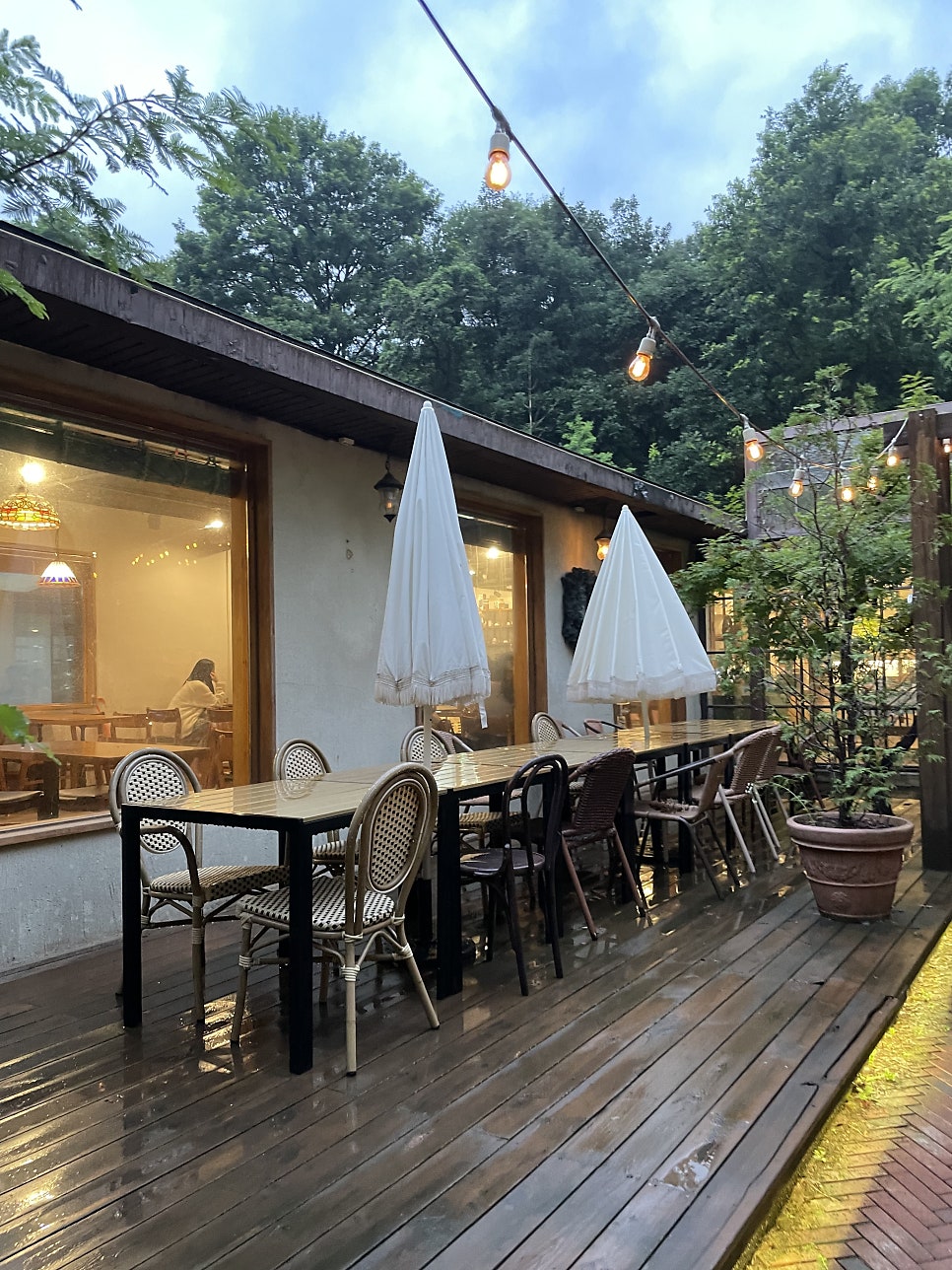 마이야르 사진 3