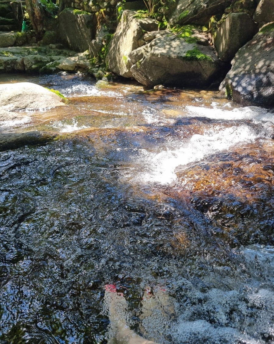산수화펜션 사진 6