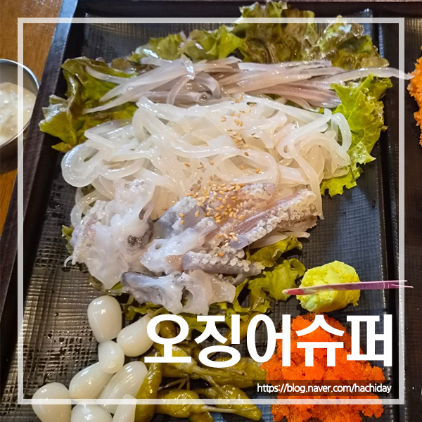 날으는회산오징어 사진 1