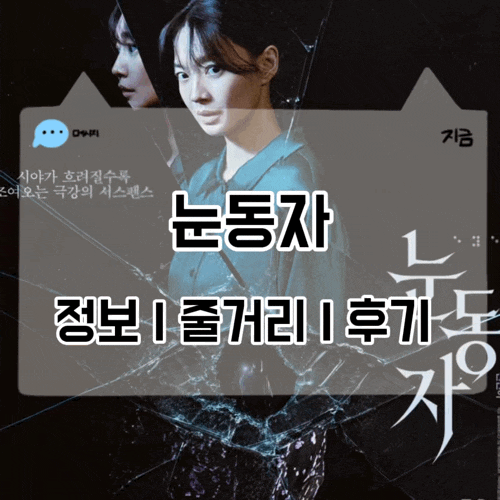 영화 눈동자 정보 줄거리 결말 후기 눈이 안 보이는 공포