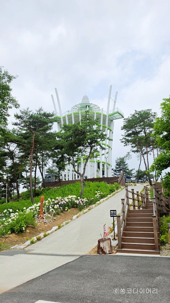 북면스카이타워 사진 3