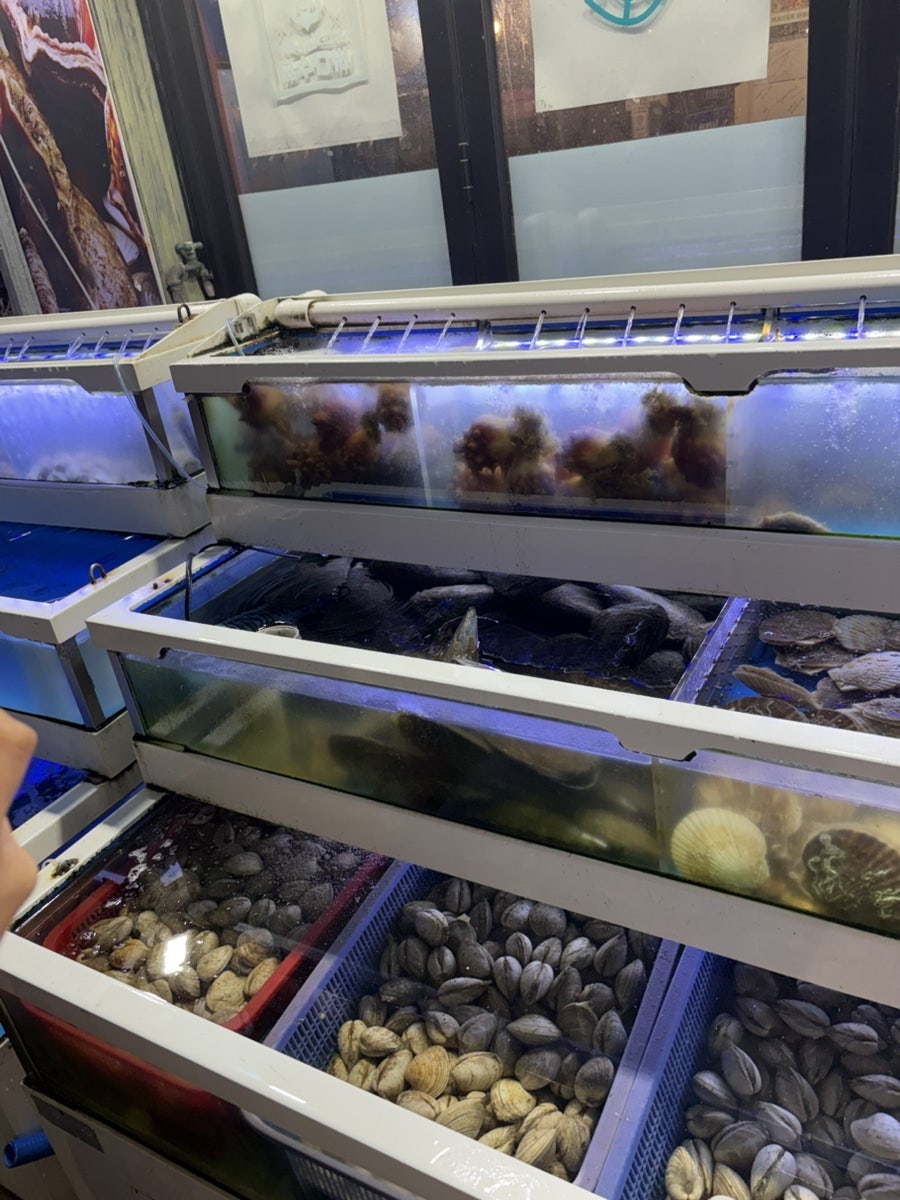 바다수퍼해물천하조개구이 인천서창점 사진 2