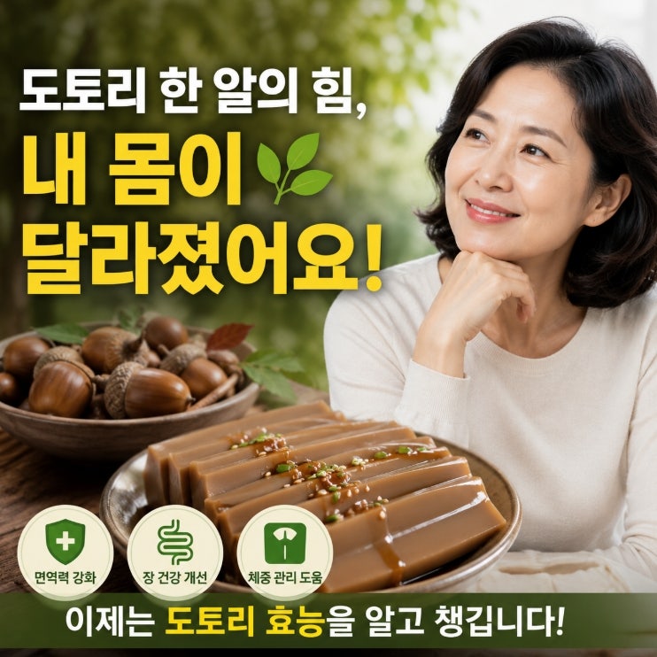 도토리묵을 그냥 먹던 내가, 도토리 효능 알고 나서 달라진 것들