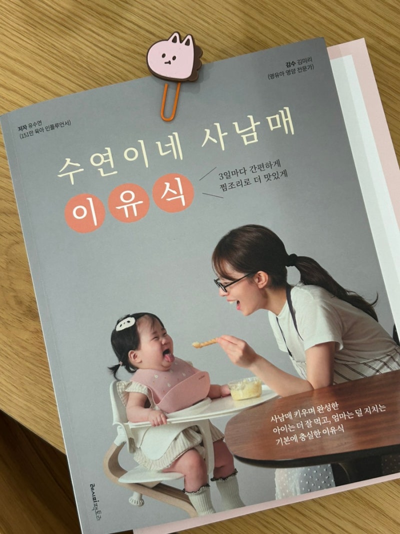 초기 이유식 시작 준비물 리스트 | 수연이네 사남매 이유식 참고(찜기 활용)