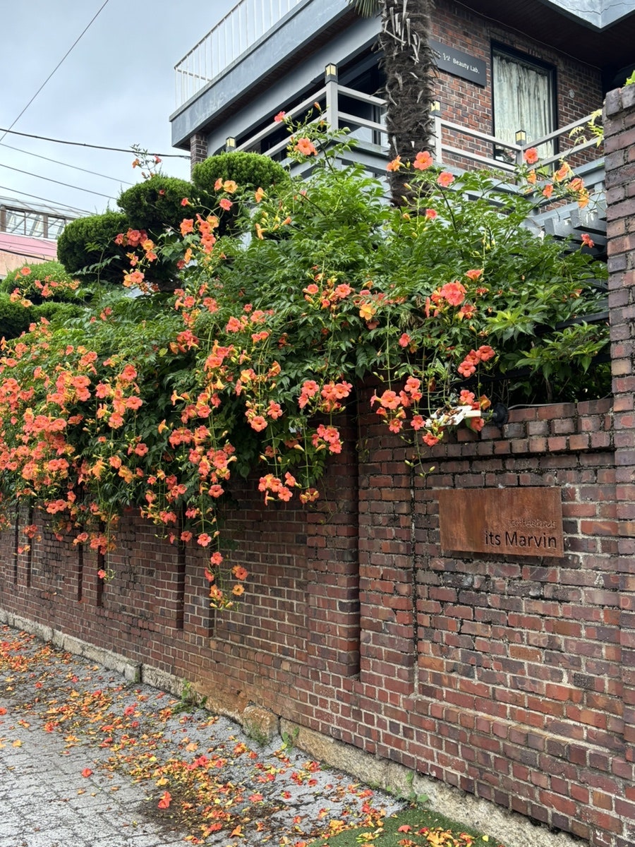 잇츠마빈 사진 6