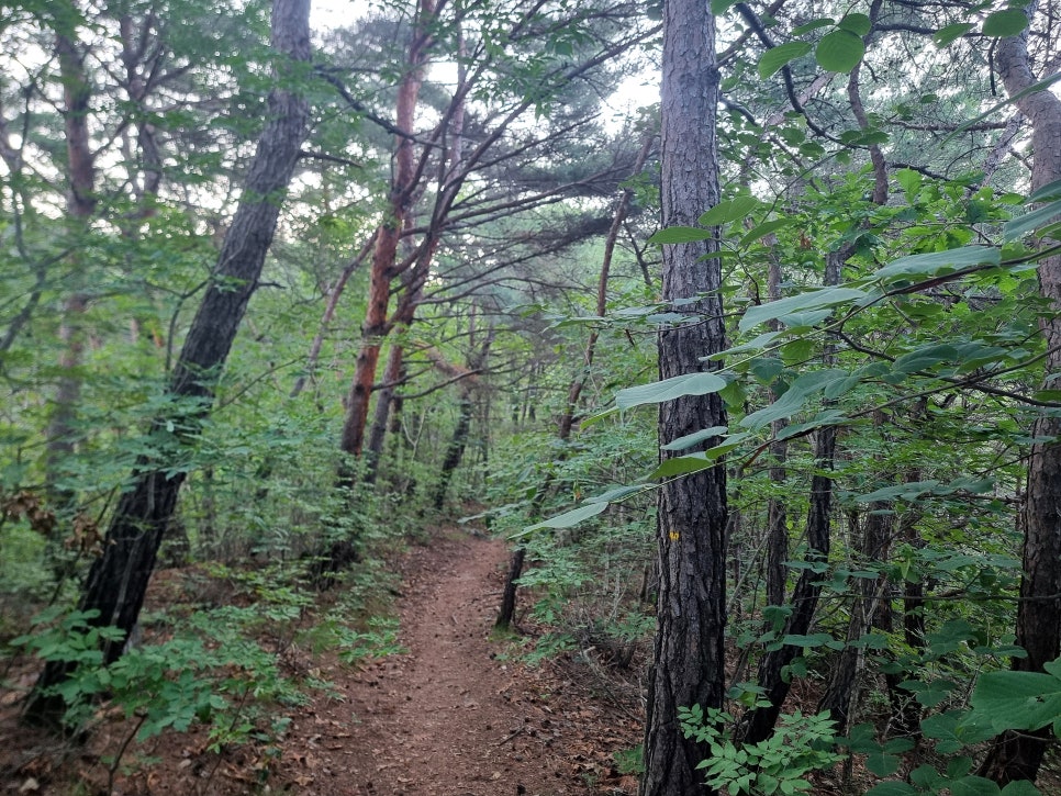 작은동산 사진 2