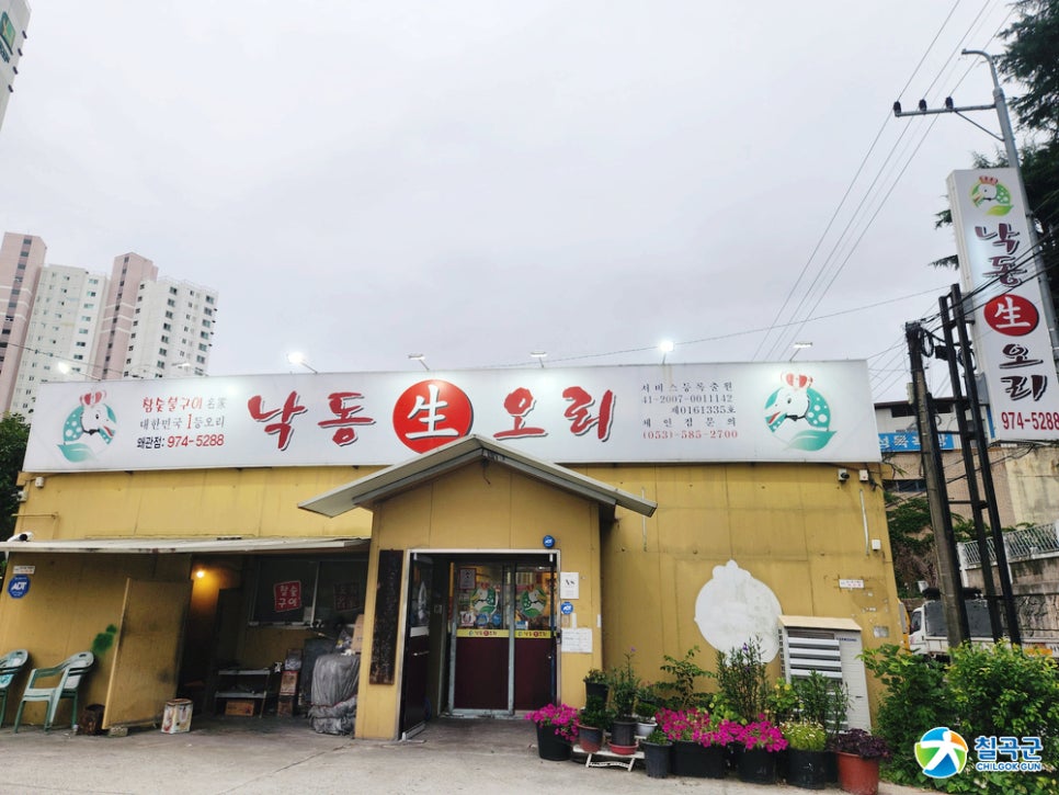 낙동생오리 사진 2