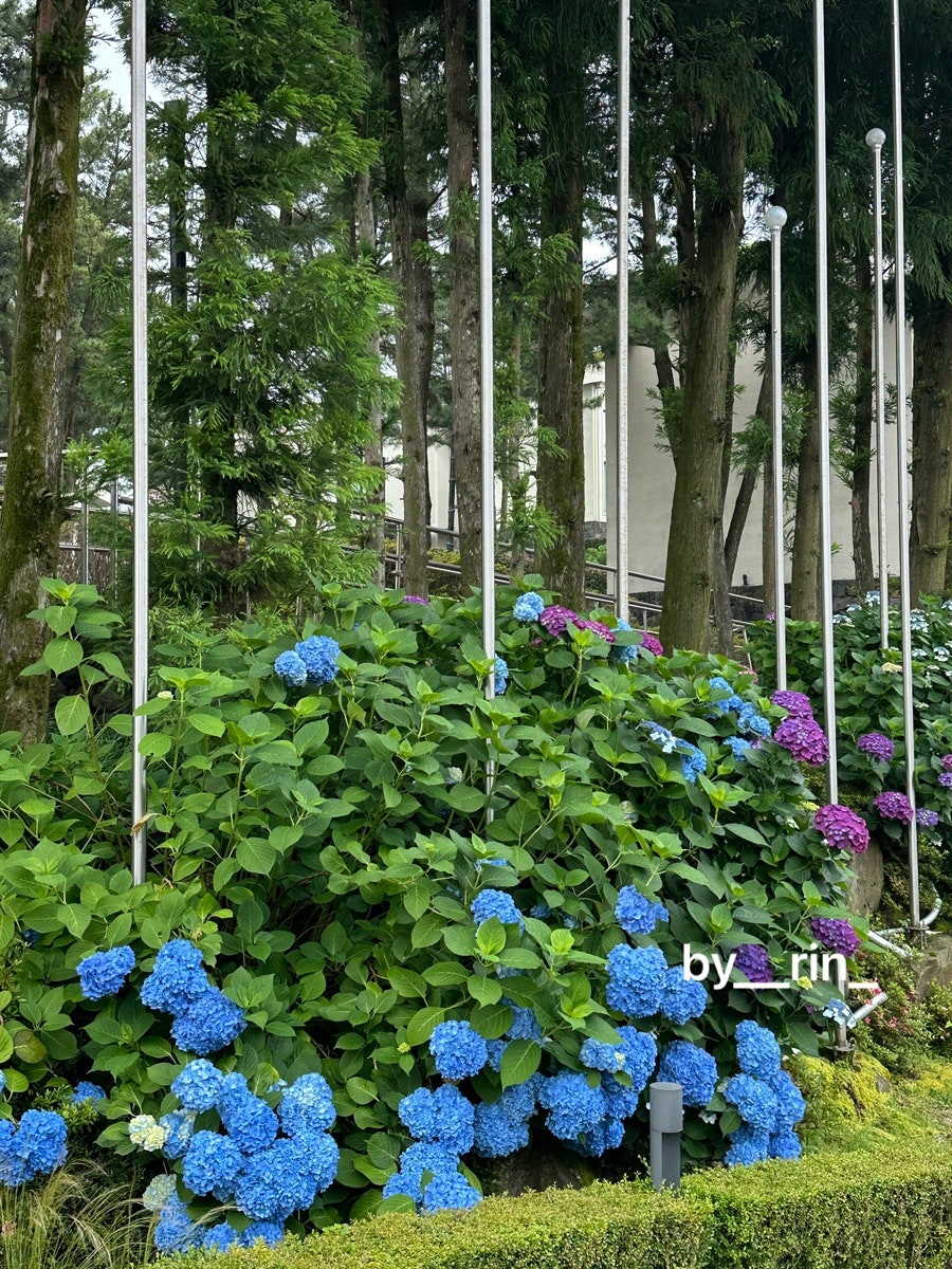 할매고등어쌈밥 함덕본점 사진 4