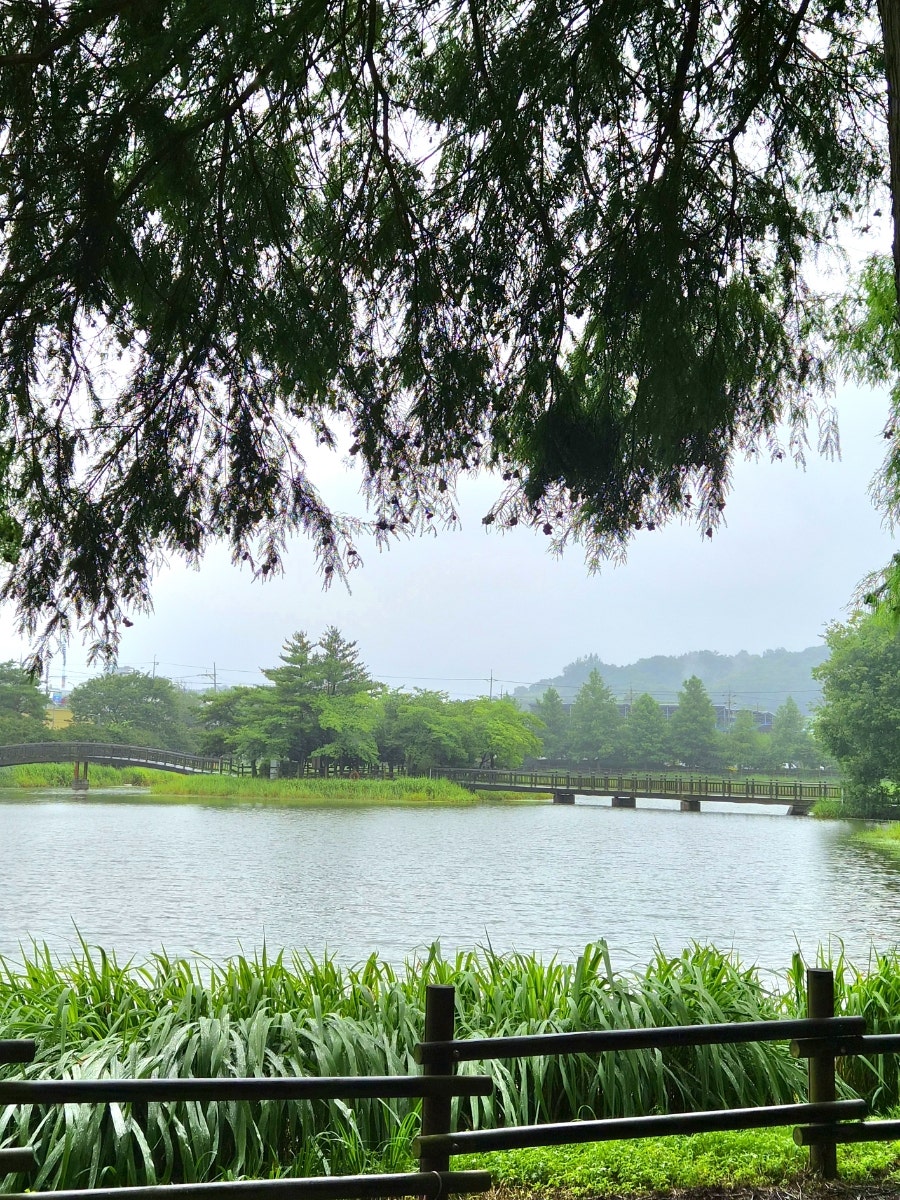 전평원 사진 3