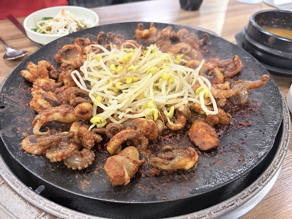 오색쭈꾸미 사진 1