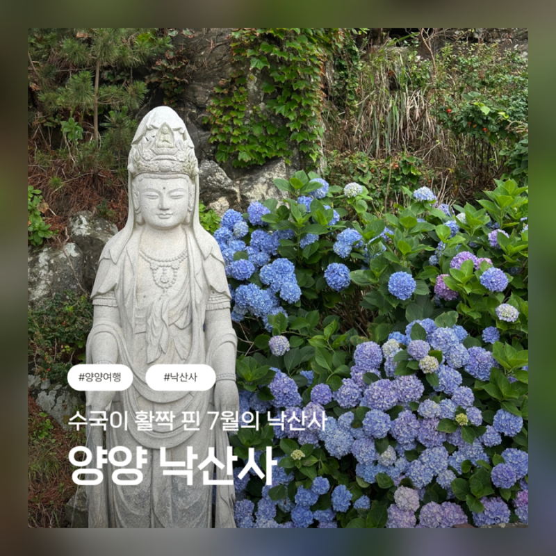 강원도 양양 낙산사 / 양양 가볼만한 곳 / 양양 놀거리 여름 낙산사