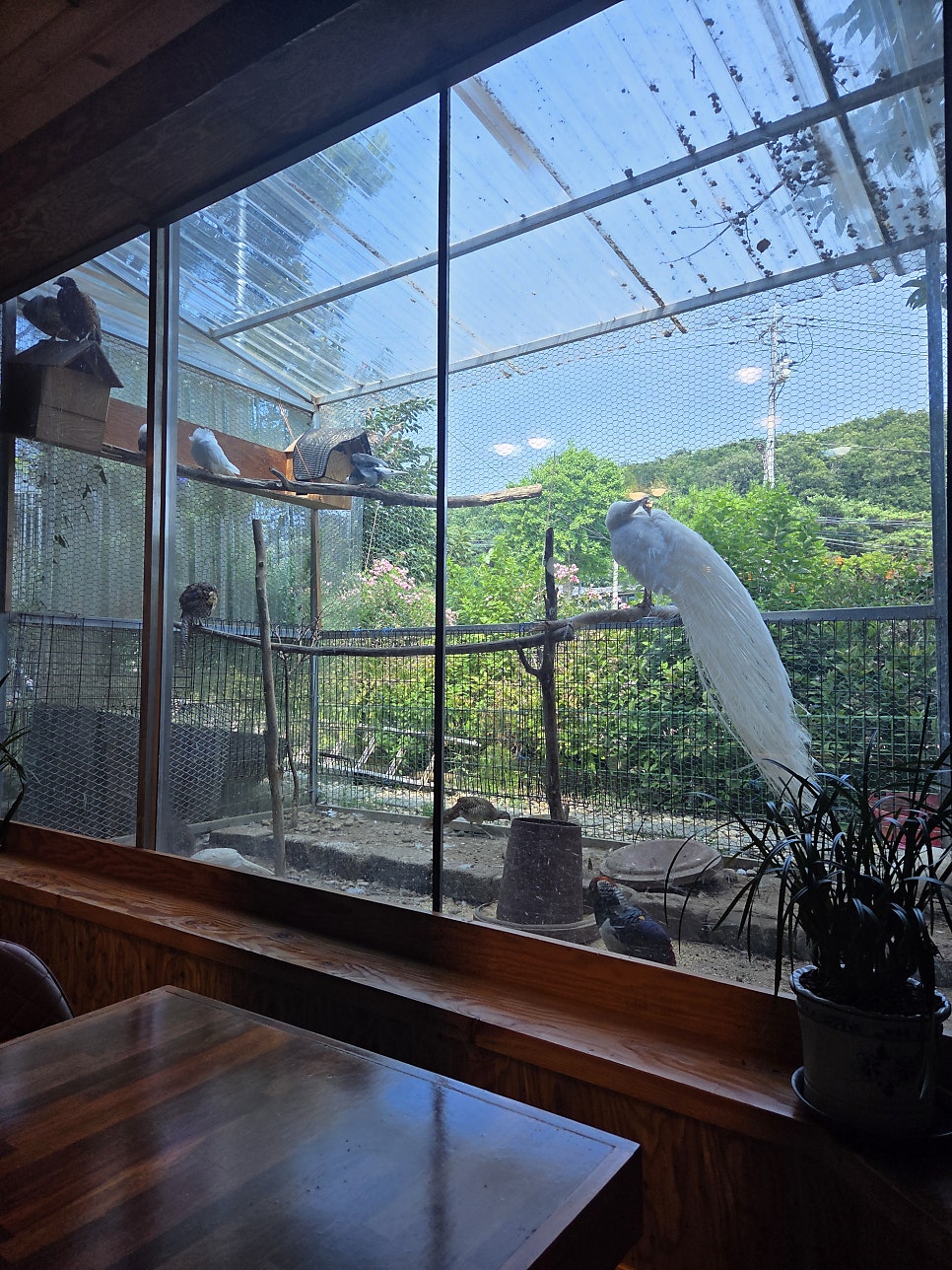 탑재611 사진 5