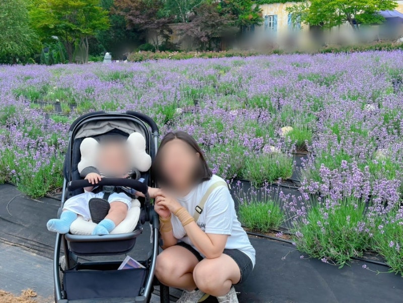 절충형 유모차 선택 기준, 남편이 오이스터4 사자고 했는데, 당근으로 오이스터3를 산 이유