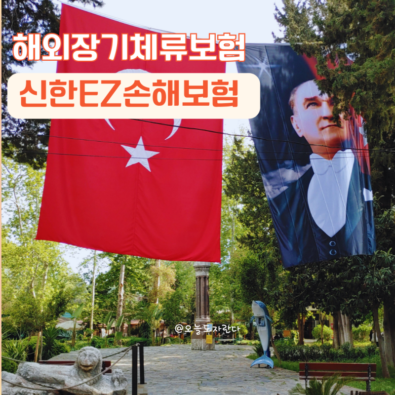 해외장기체류보험은 필수 해외살이 2년 살아보니 신한이지손해보험 추천할수밖에!