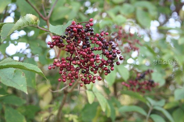 청로요양원 사진 4