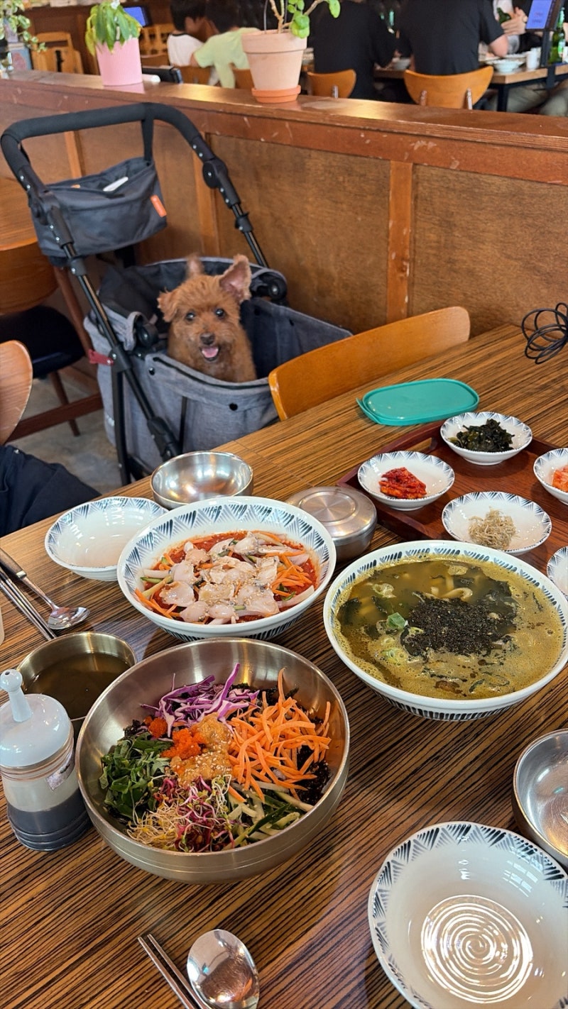 제주도 애월 애견동반식당 해오반 강추!