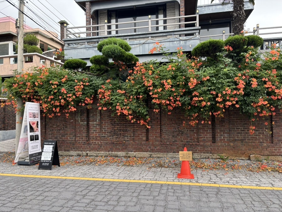 잇츠마빈 사진 2