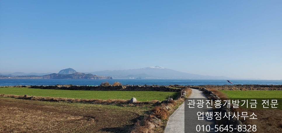 금산군청 사진 3