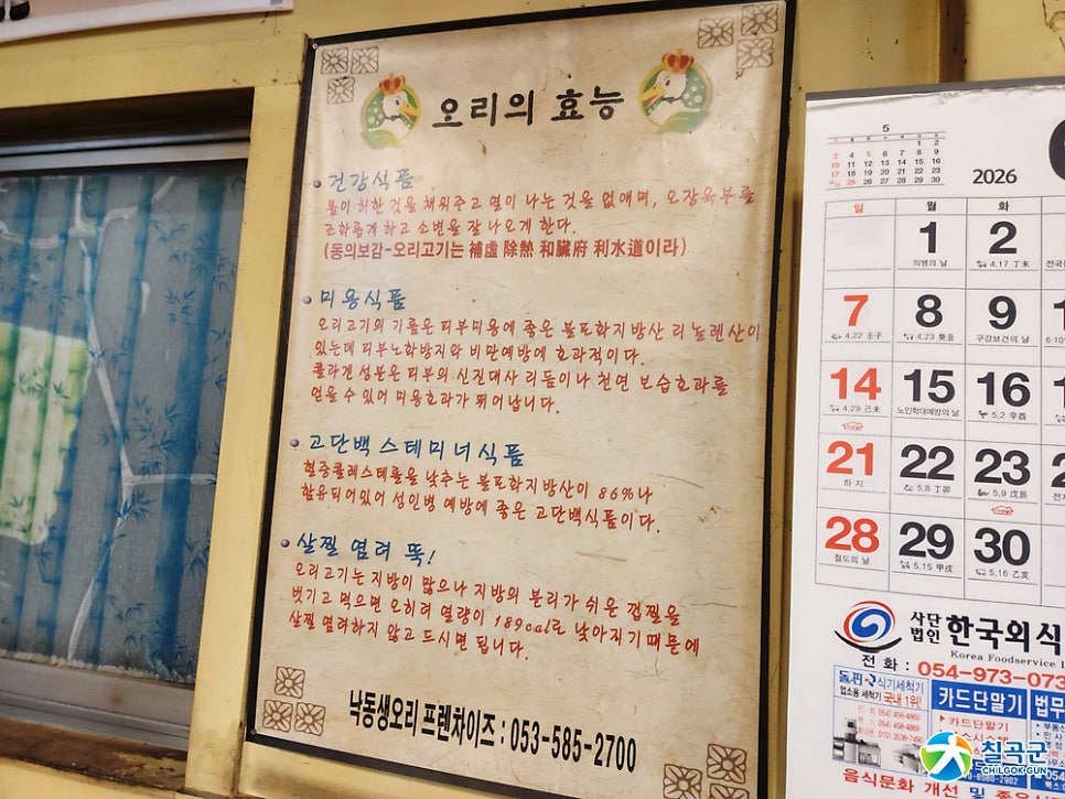 낙동생오리 사진 6