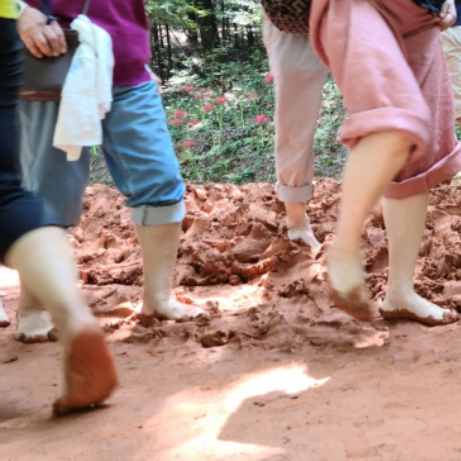 계족산 황토길 대전 여행 코스 주차장 정보 총정리