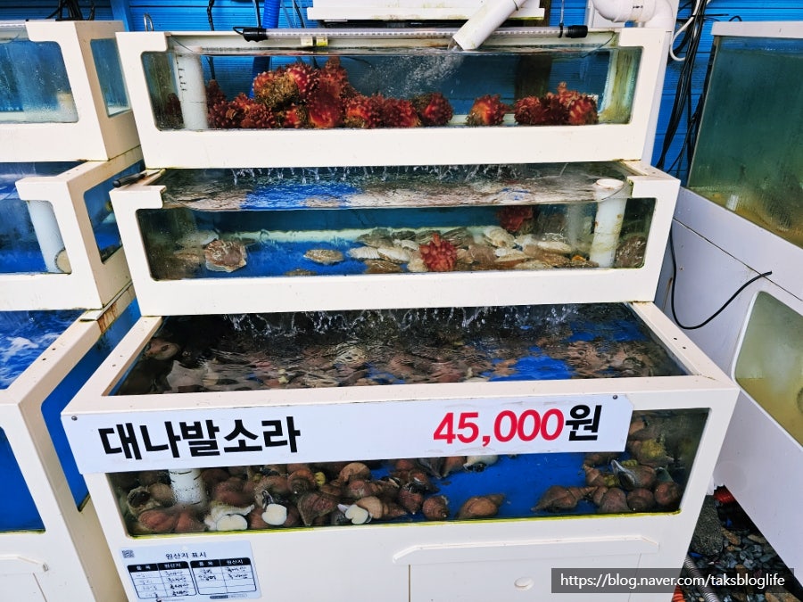 게락 사진 6