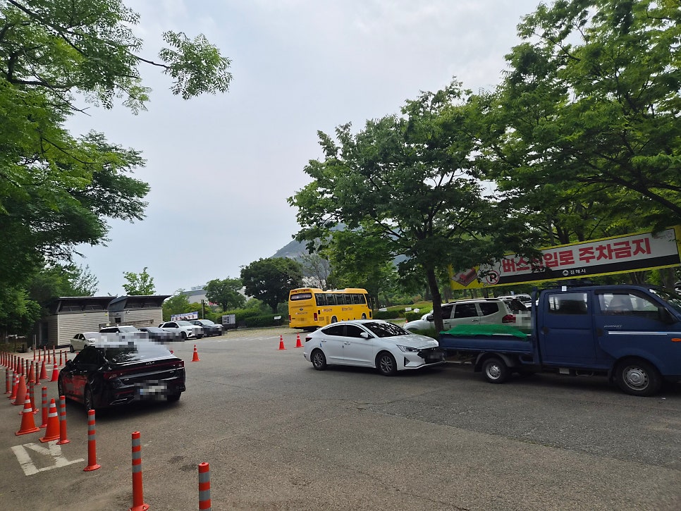 토박이식당 사진 4