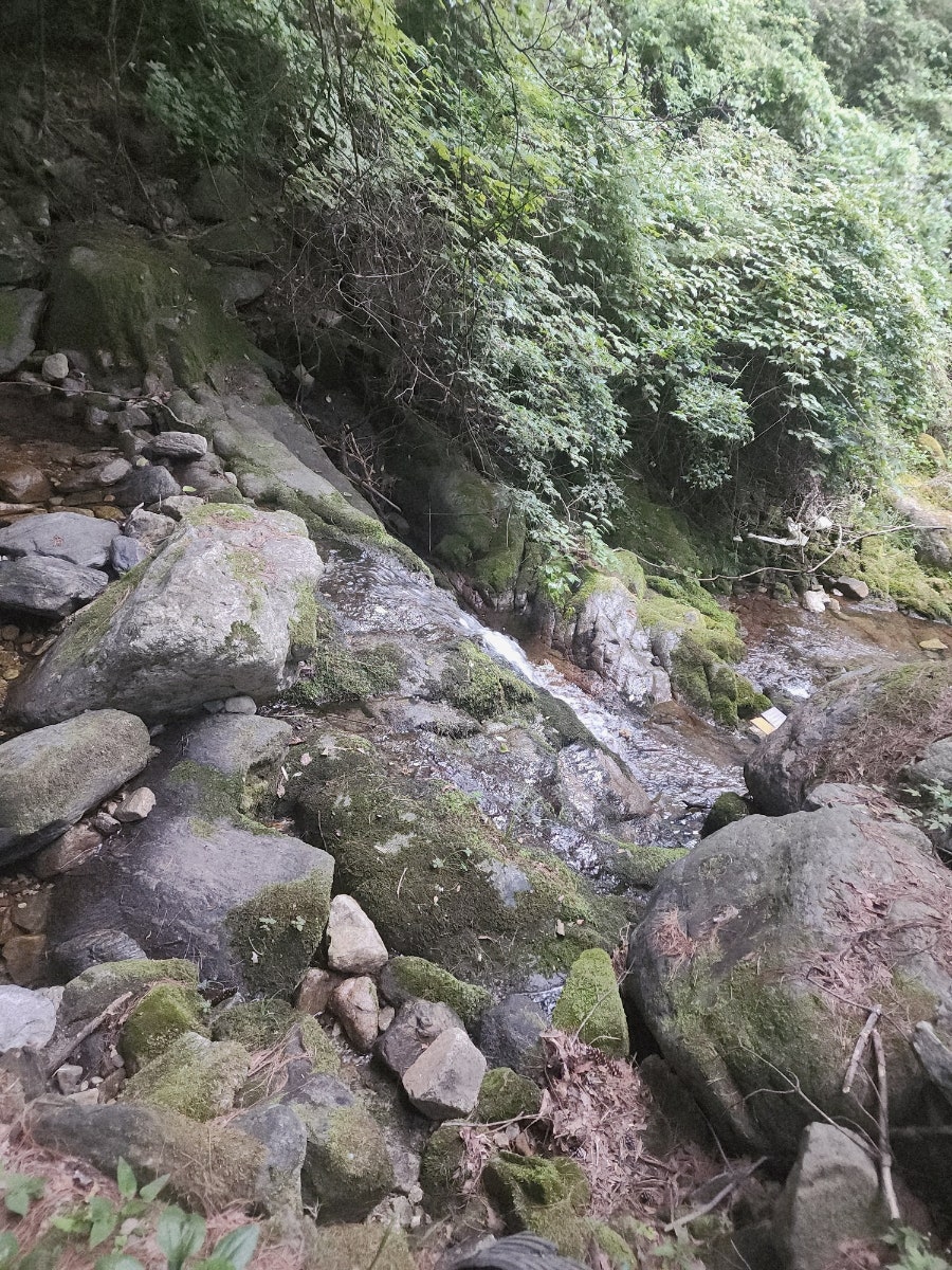 산머루펜션 사진 6