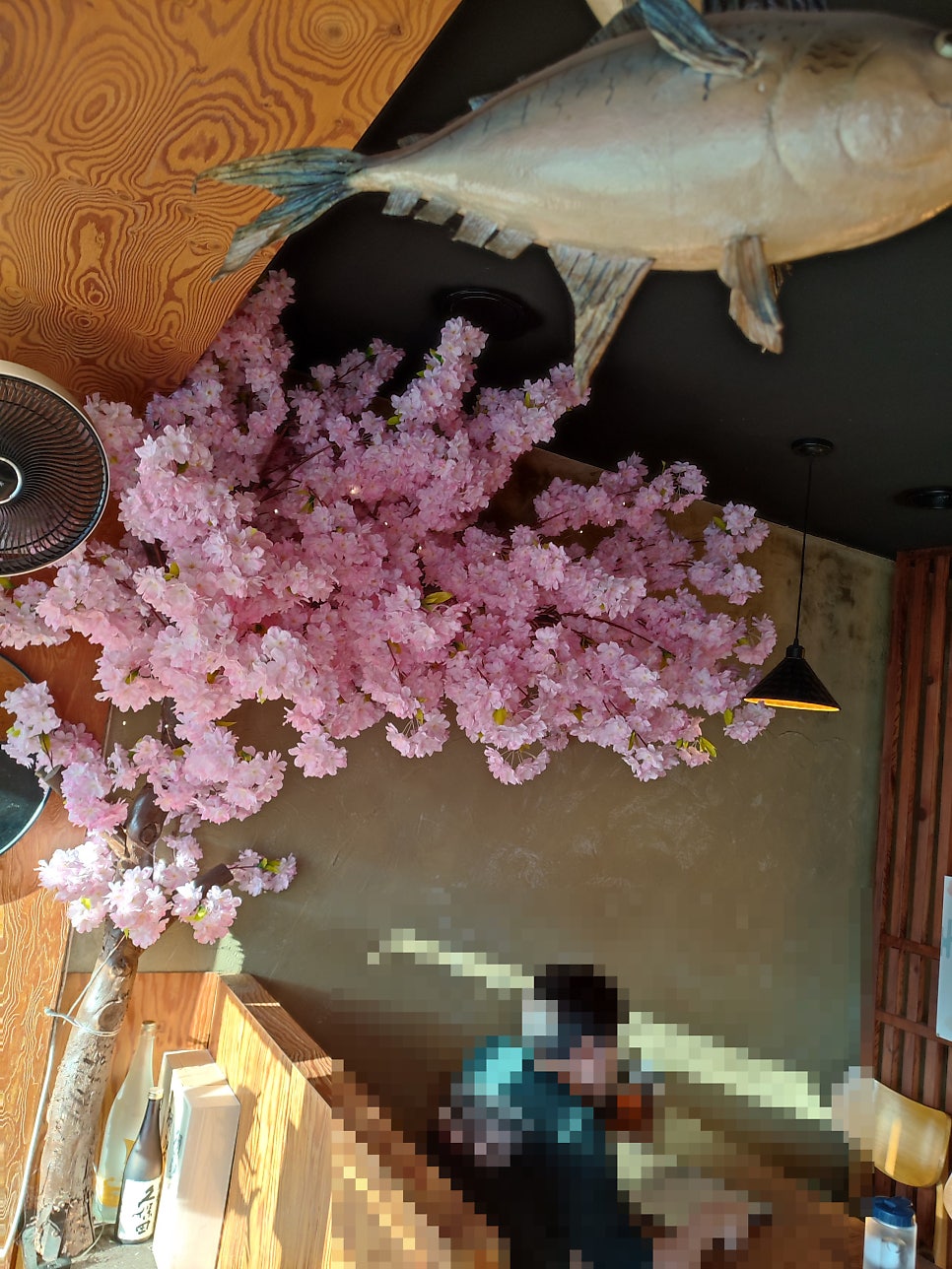 참치원 사진 5