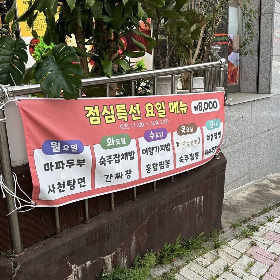 링링 사진 5