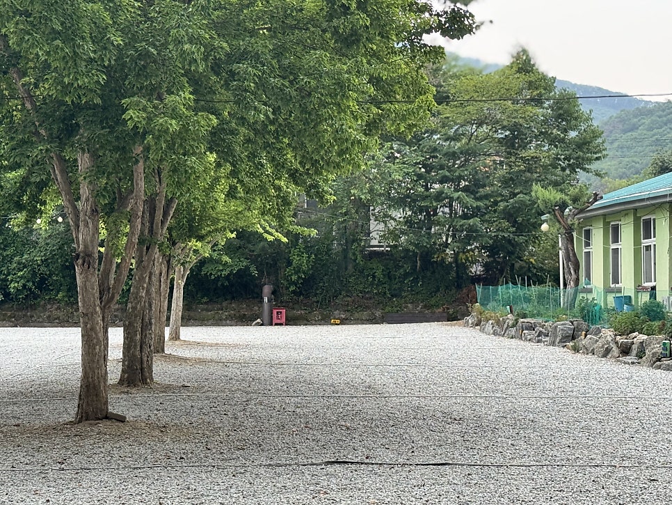 마루노리캠핑장 사진 6