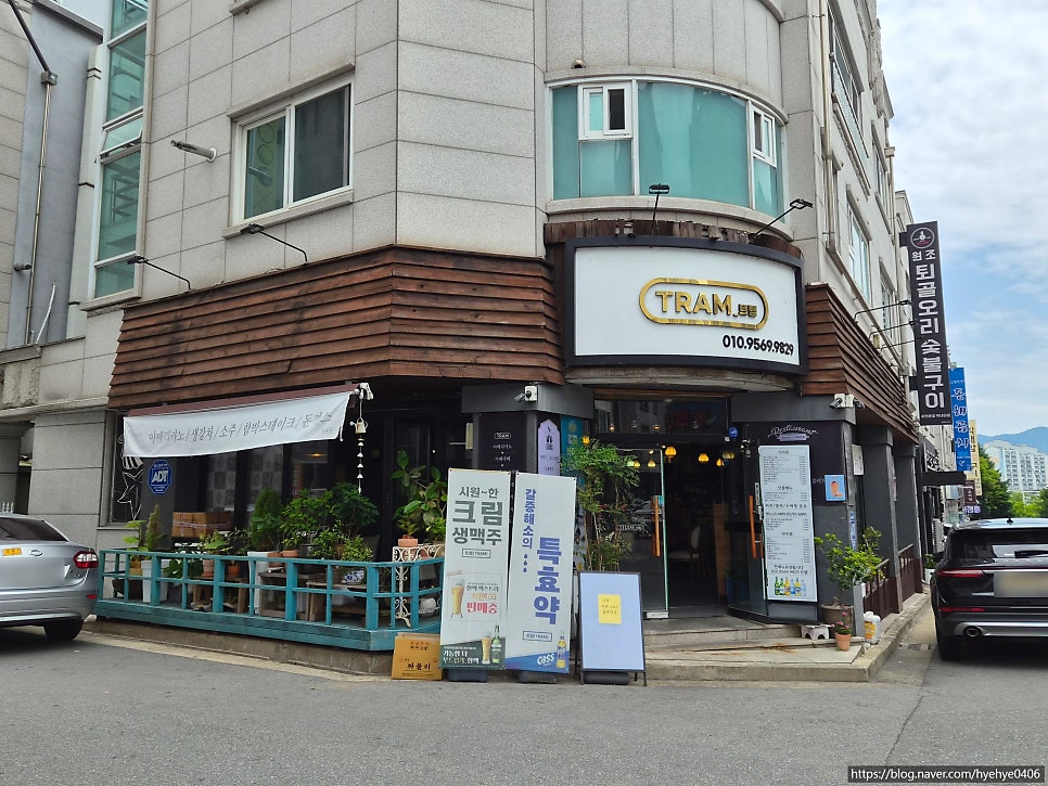 트램 사진 2