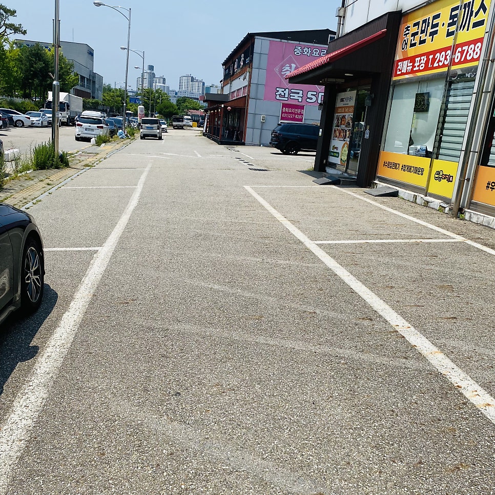 입큰메기 사진 4