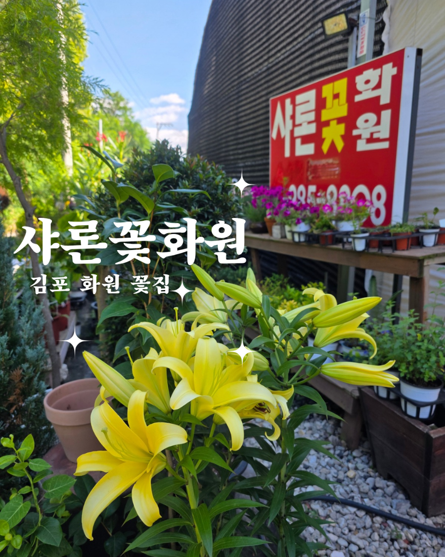 샤론 사진 1