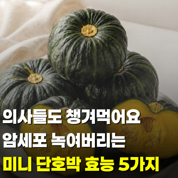 미니 단호박 효능 5가지, 사람들이 의외로 놓치는 건 따로 있습니다