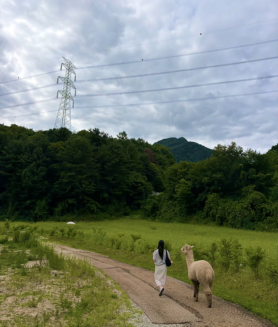 도선재 사진 5