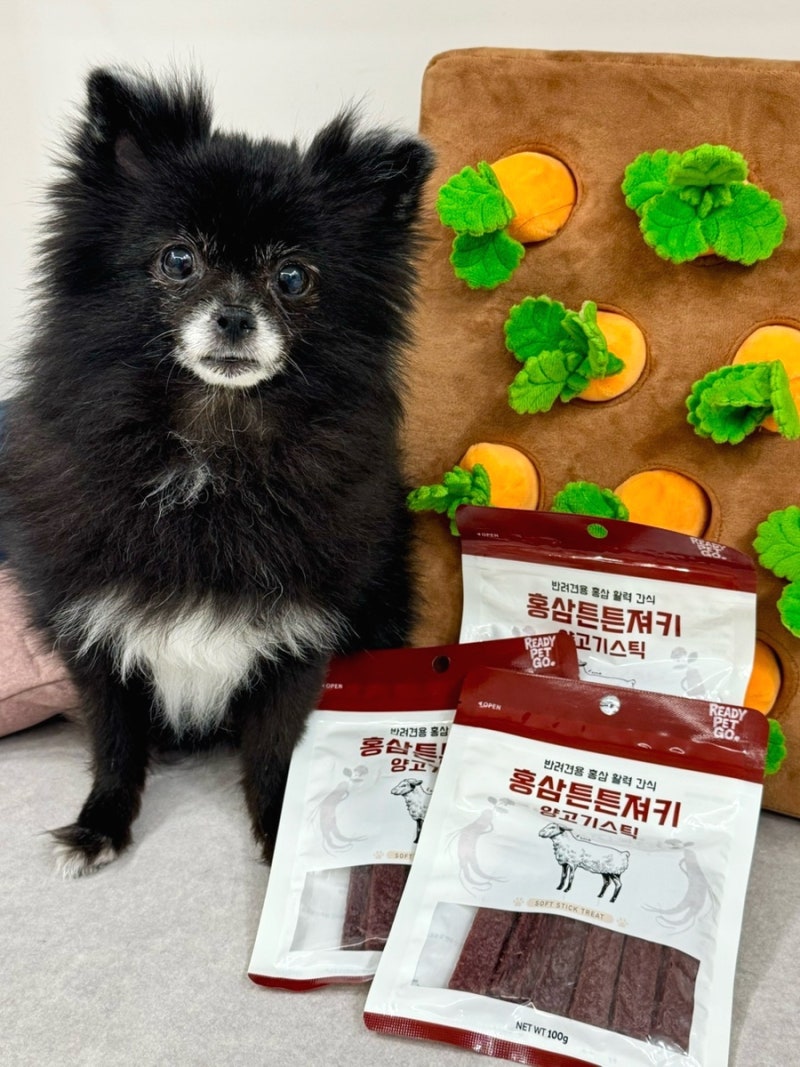 강아지 간식 노견도 섭취 가능한 부드러운 육포 간식 레디펫고 홍삼튼튼져키