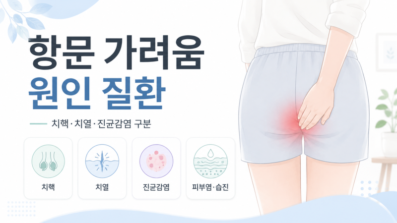 항문 가려움증 원인 질환, 치핵·치열·진균감염 구분
