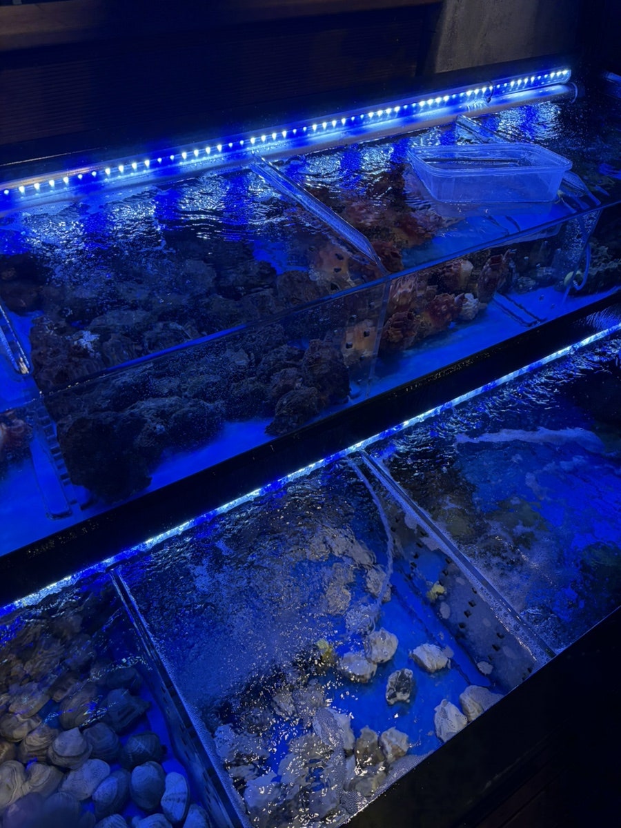 용산여남동 사진 3