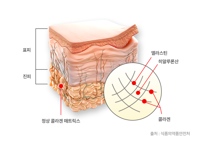 콜라겐, 먹어서 효과가 있을까? 확실히 알려드립니다