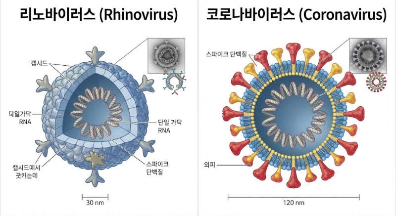 감기 걸렸을 때 병원 가야 할 때는?