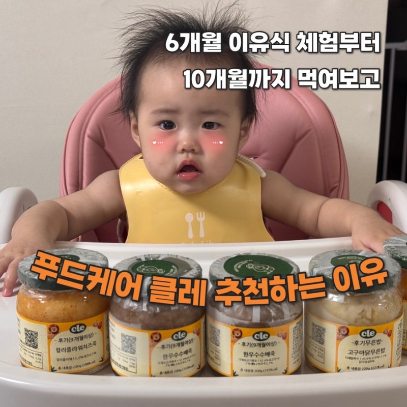 외출용시판이유식 준비물 추천 : 푸드케어 클레이유식(6개월 이유식체험부터 10개월까지)