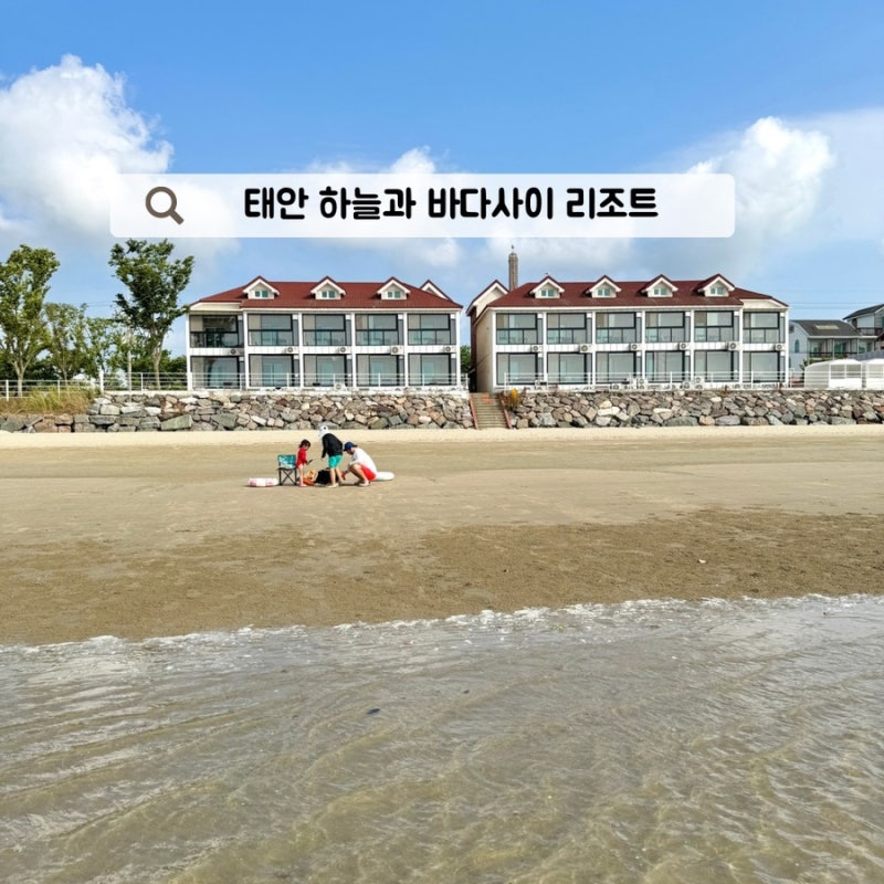 태안 신두리 해수욕장 하늘과 바다사이 리조트 갯벌체험 가능한 가족 펜션 추천
