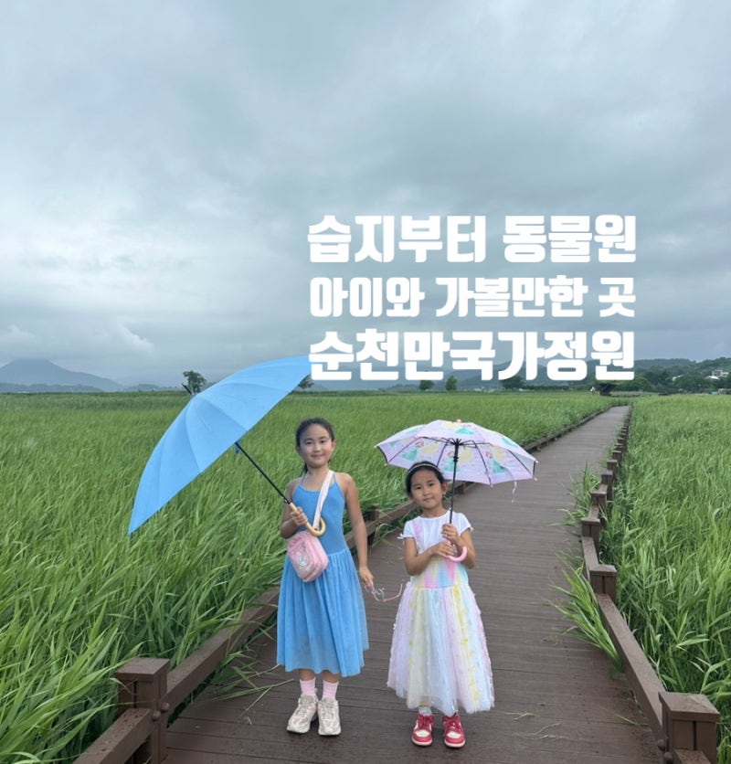 [순천시] 순천만국가정원 | 입장료 할인방법 | 정원관람차 | 큐브스카이 | 순천 아이와 가볼만....