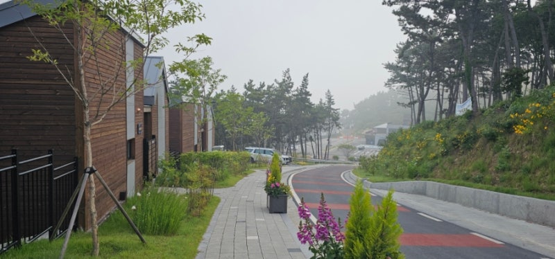 올 여름휴가는 국립자연휴양림에서(신시도-원산도-청태산-진부령) 산과 바다를..