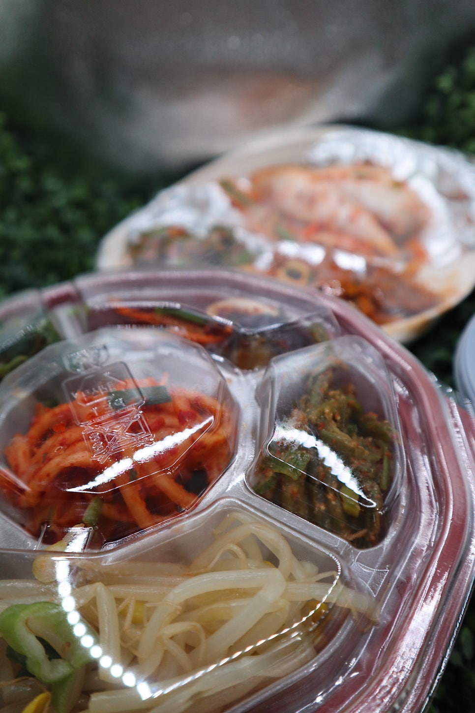 푸릇푸릇 사진 2