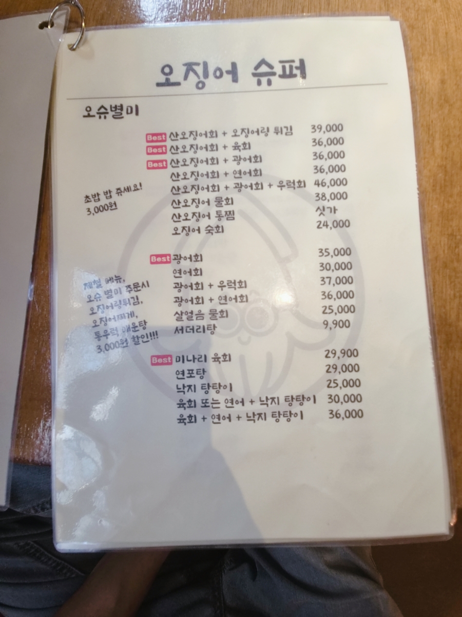 날으는회산오징어 사진 4