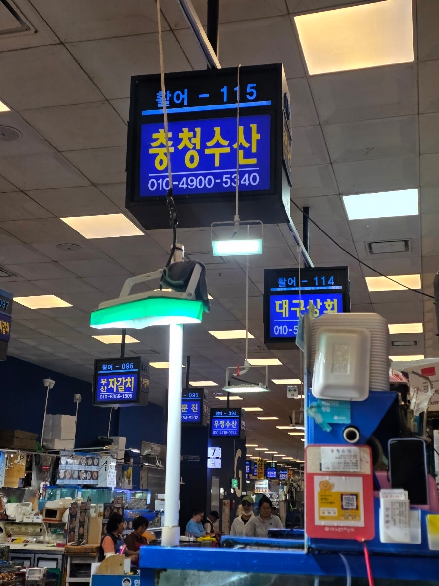 청해진 사진 3