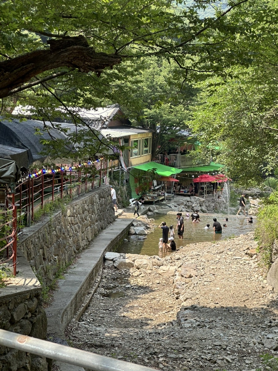 온달집 사진 4